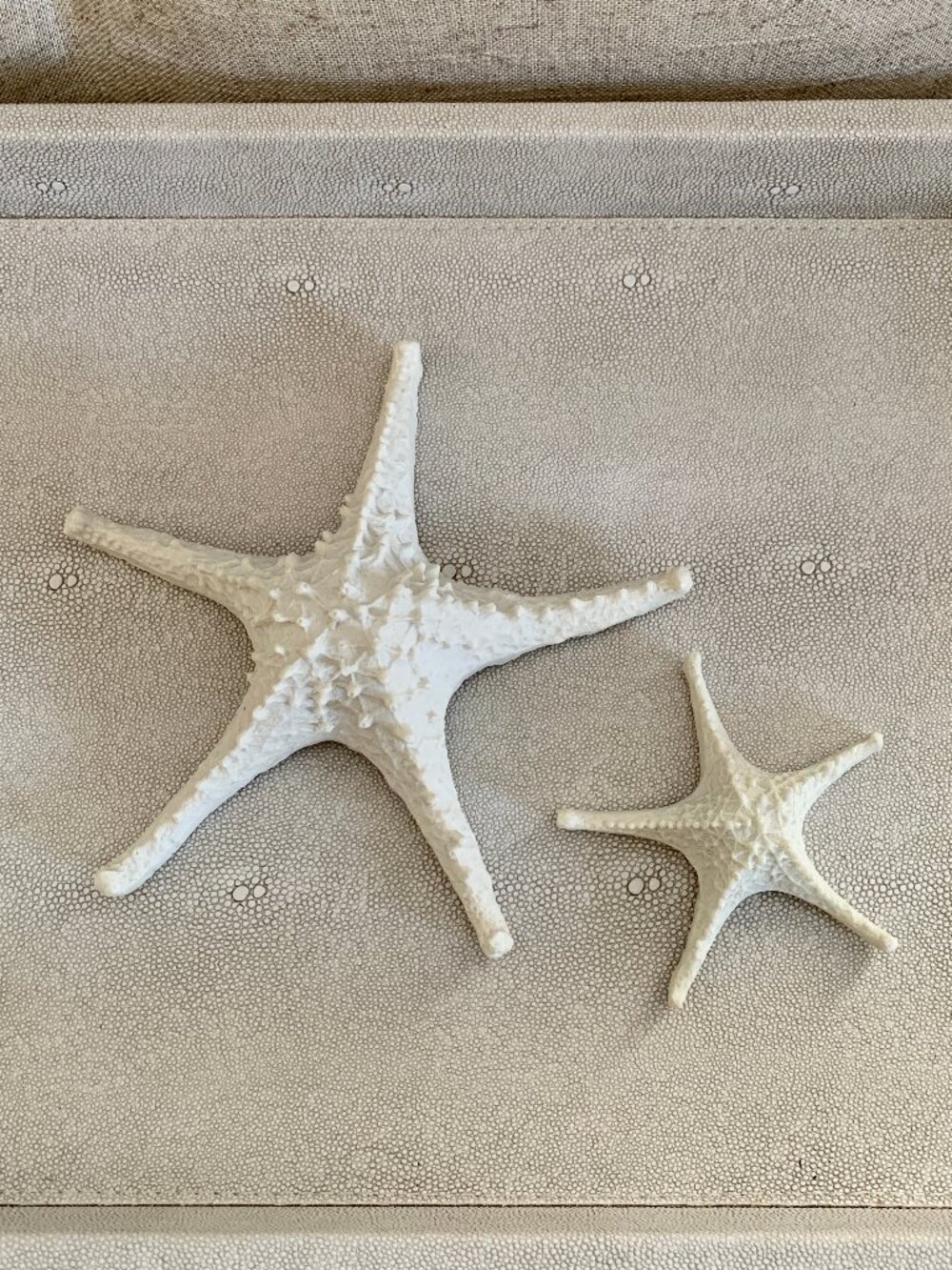 Starfish decor Set of 2